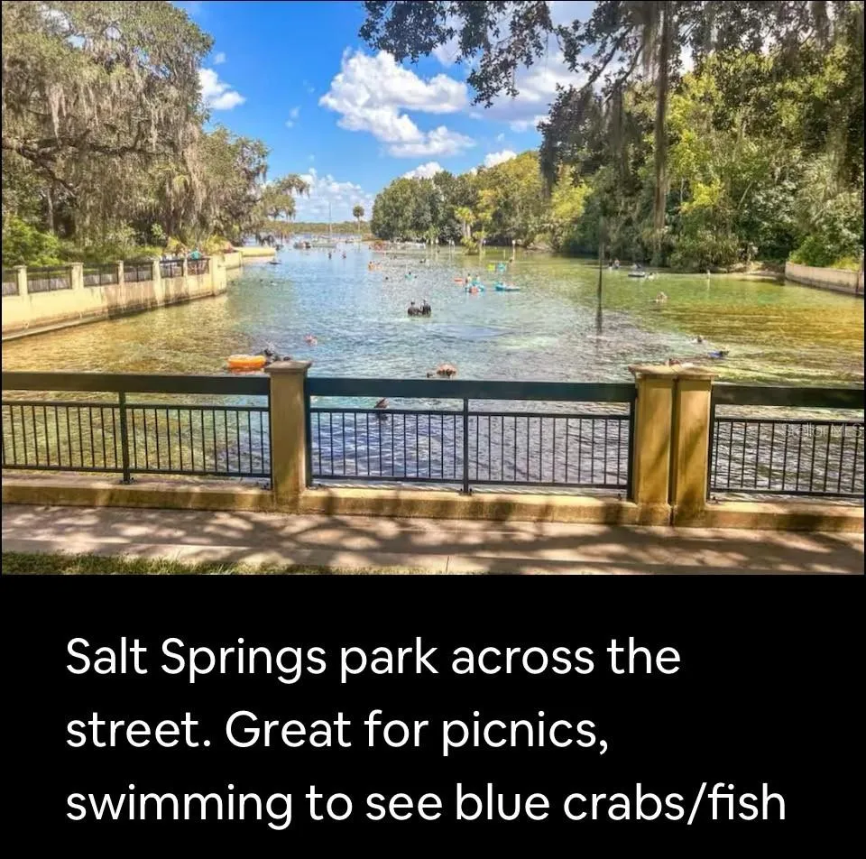 14415 252ND COURT ROAD NE #133 Fort Mc Coy, FL 32134