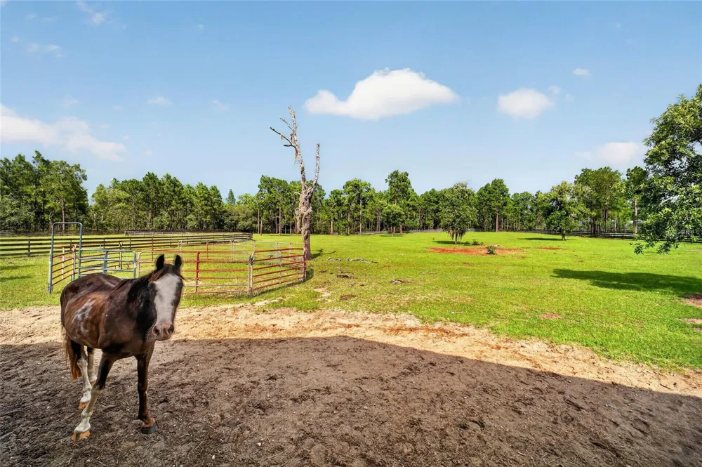 6351 SE 140 AVENUE Morriston, FL 32668
