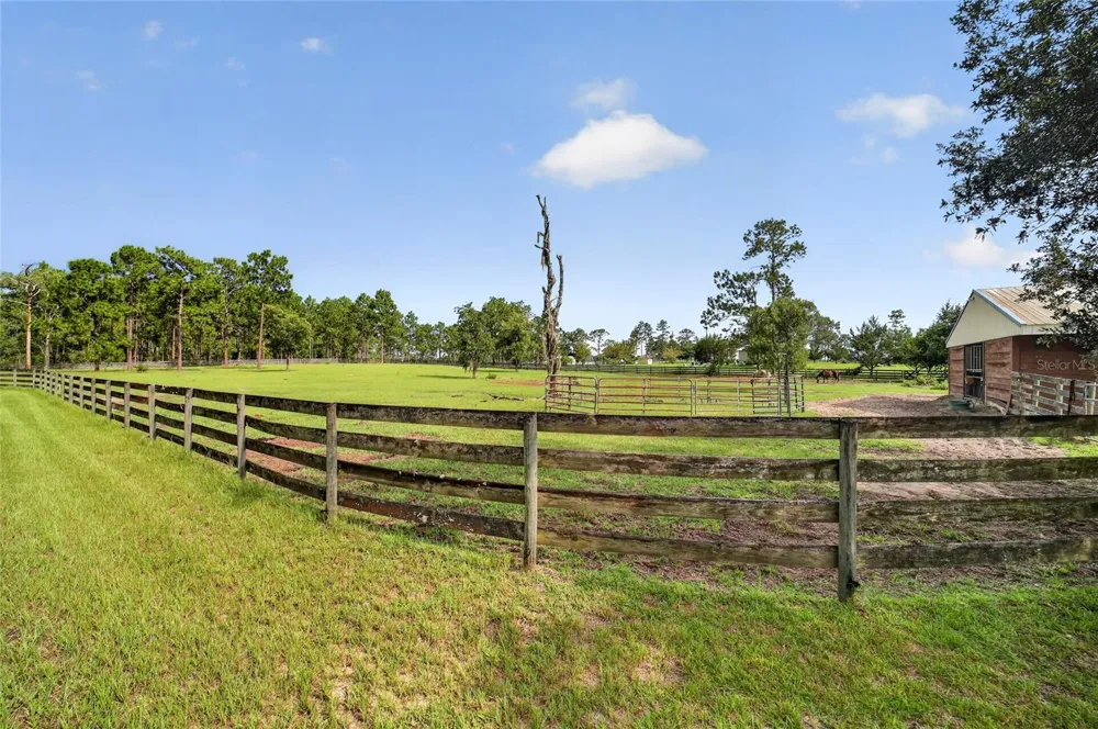6351 SE 140 AVENUE Morriston, FL 32668