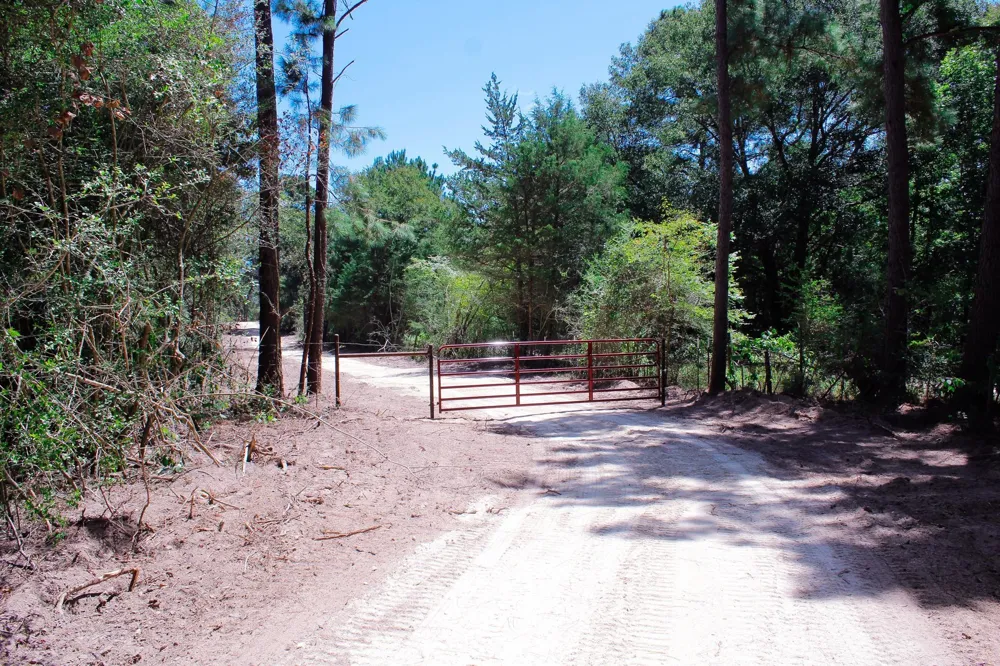 66 Tanyard Church Lane Midway, TX 75852