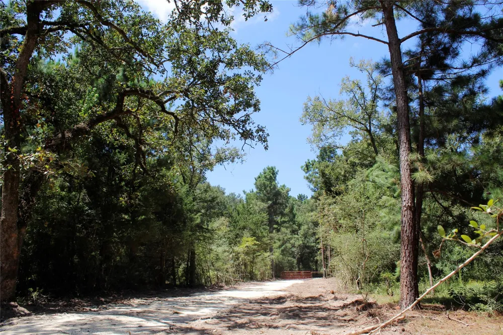 66 Tanyard Church Lane Midway, TX 75852