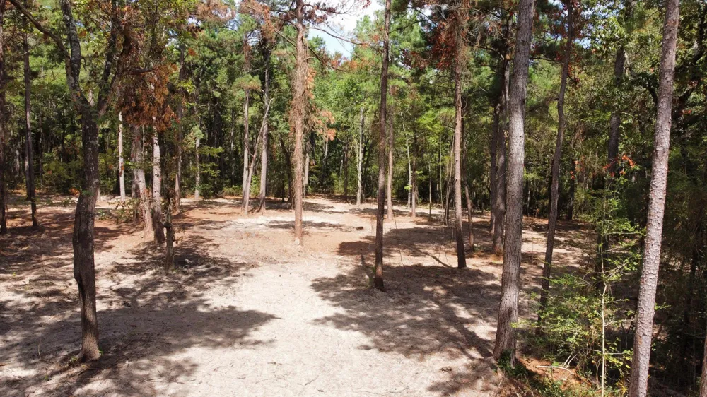 66 Tanyard Church Lane Midway, TX 75852