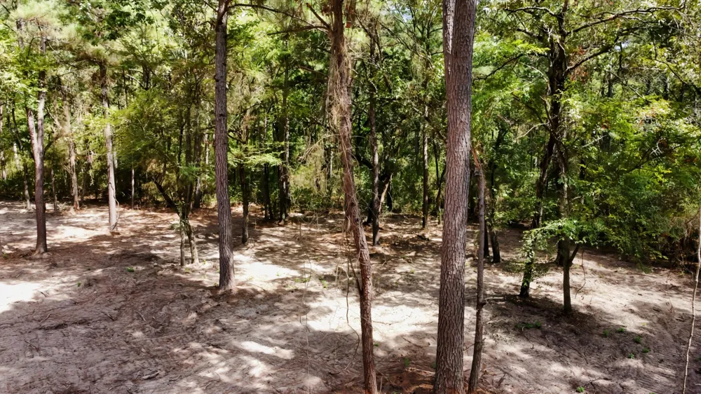 66 Tanyard Church Lane Midway, TX 75852