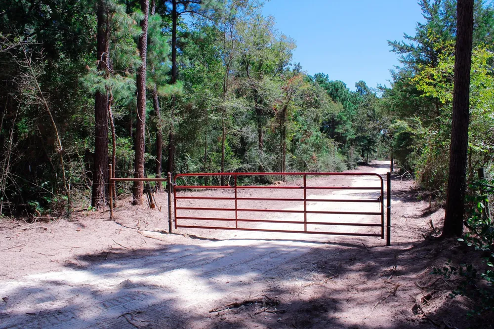 66 Tanyard Church Lane Midway, TX 75852