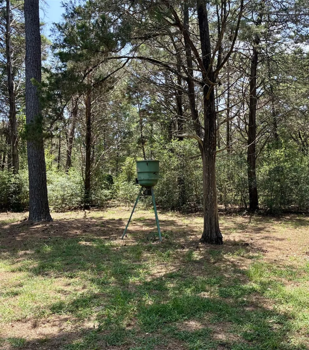 1052 Briar Crest Drive New Ulm, TX 78950