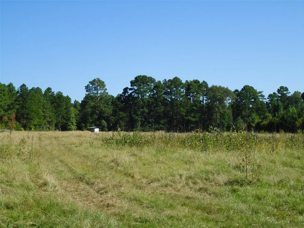 788 Fm-2781 Groveton, TX 75845