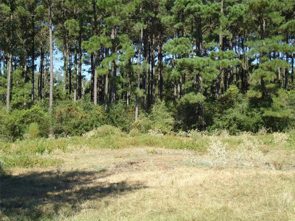 788 Fm-2781 Groveton, TX 75845