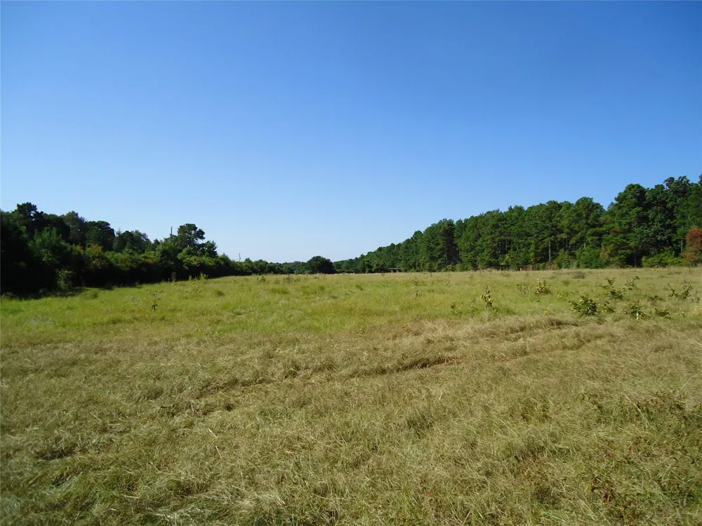 788 Fm-2781 Groveton, TX 75845