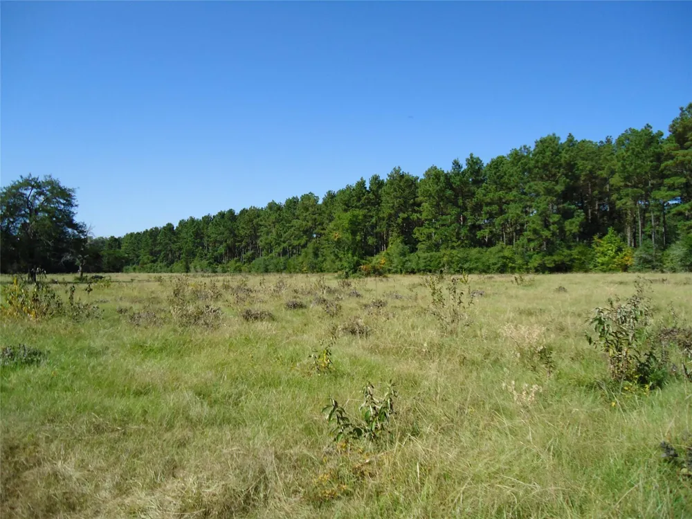 788 Fm-2781 Groveton, TX 75845