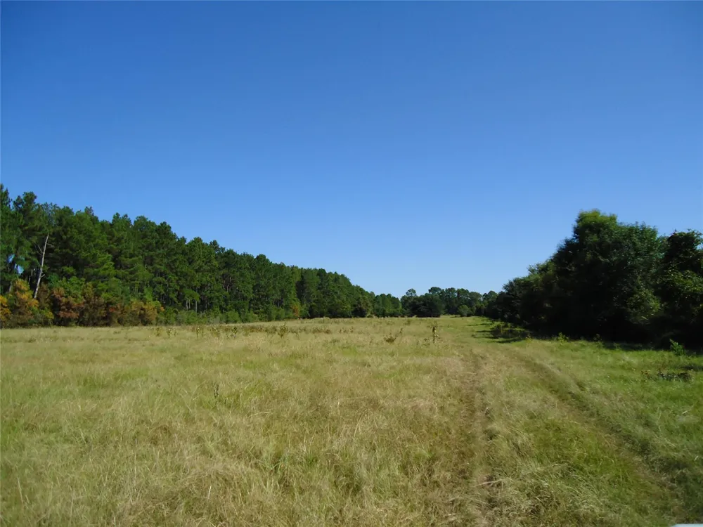788 Fm-2781 Groveton, TX 75845