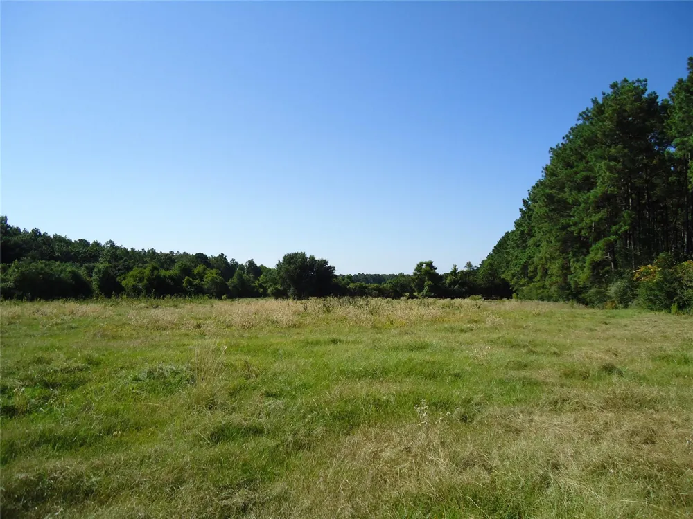 788 Fm-2781 Groveton, TX 75845