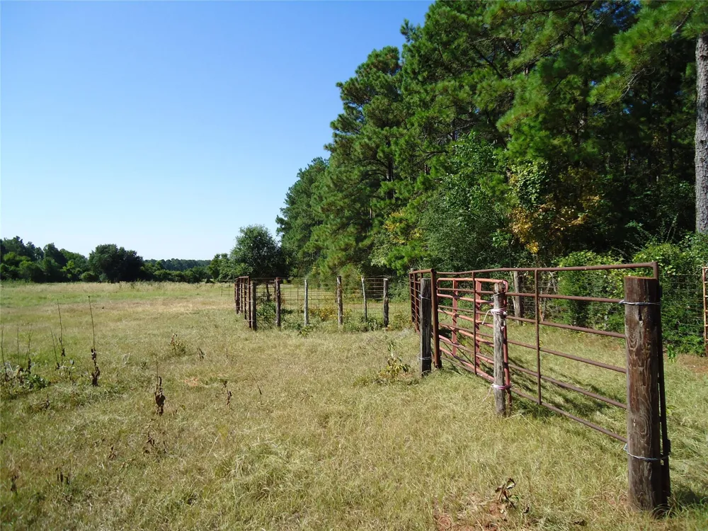 788 Fm-2781 Groveton, TX 75845
