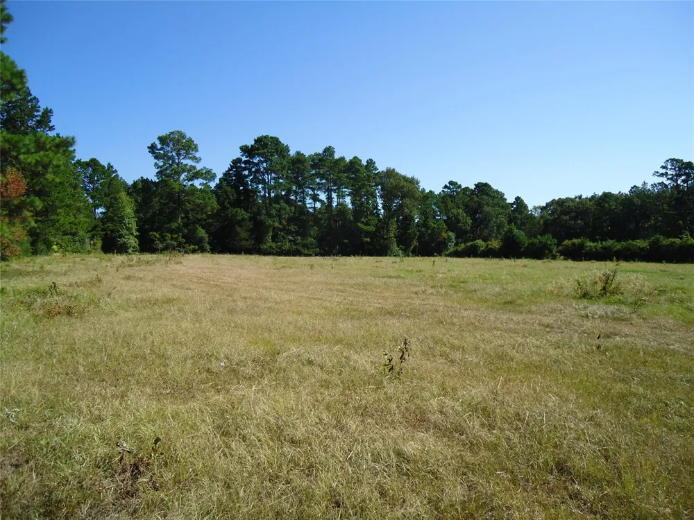 788 Fm-2781 Groveton, TX 75845