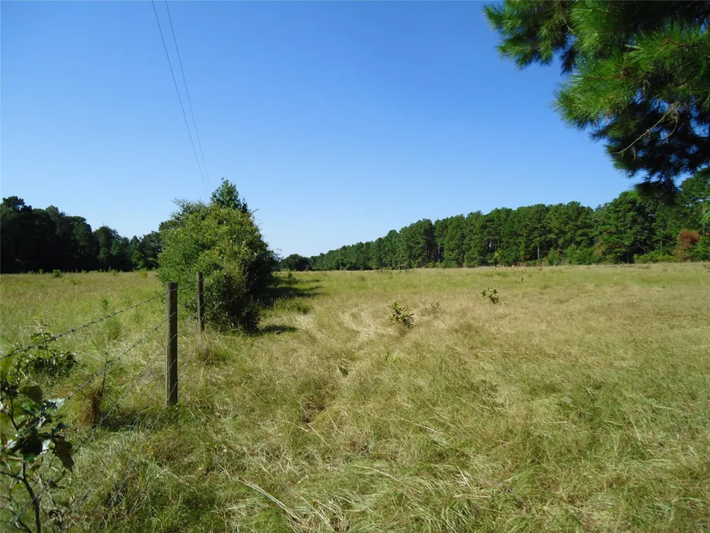 788 Fm-2781 Groveton, TX 75845