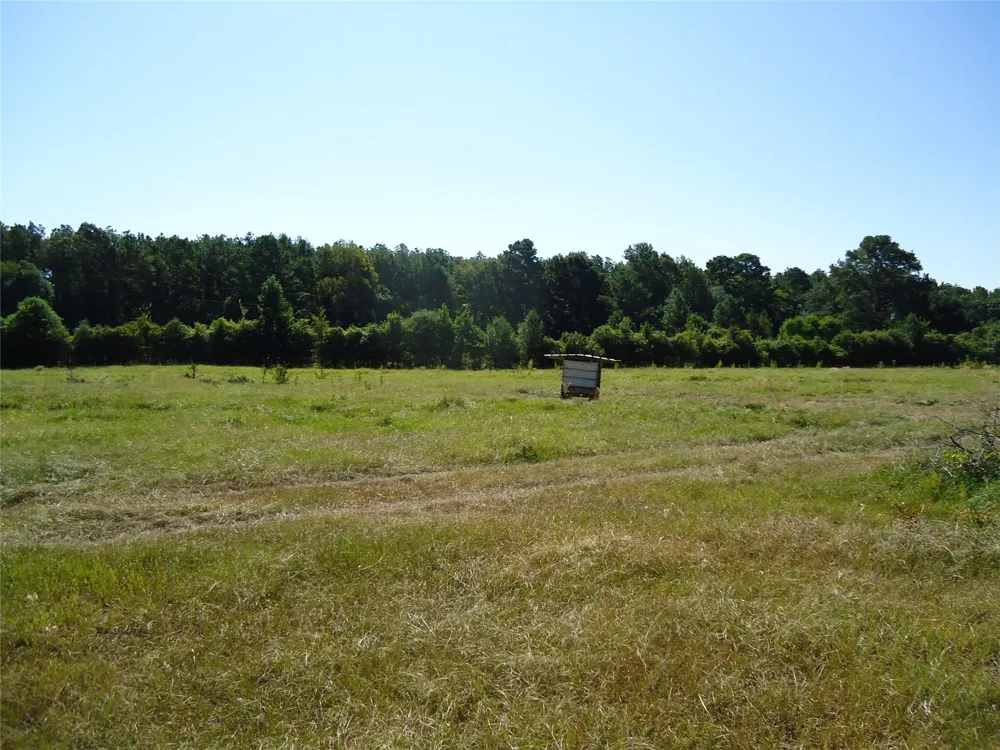 788 Fm-2781 Groveton, TX 75845