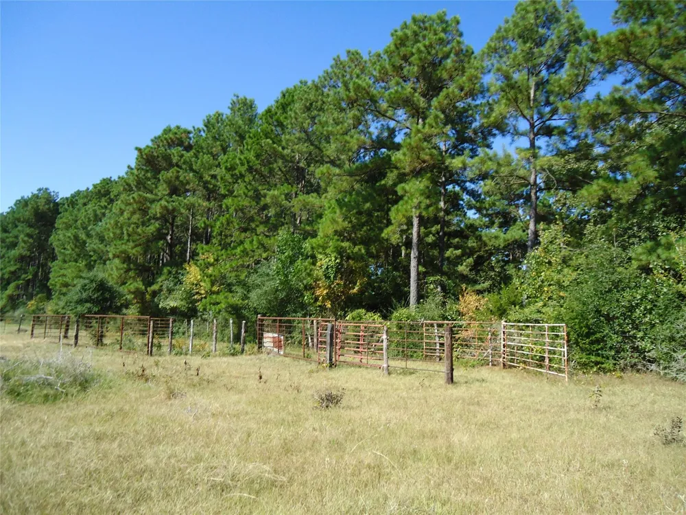788 Fm-2781 Groveton, TX 75845