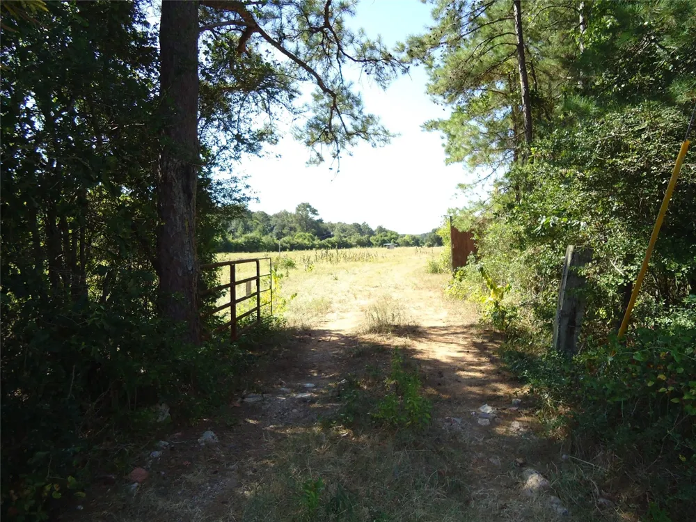 788 Fm-2781 Groveton, TX 75845