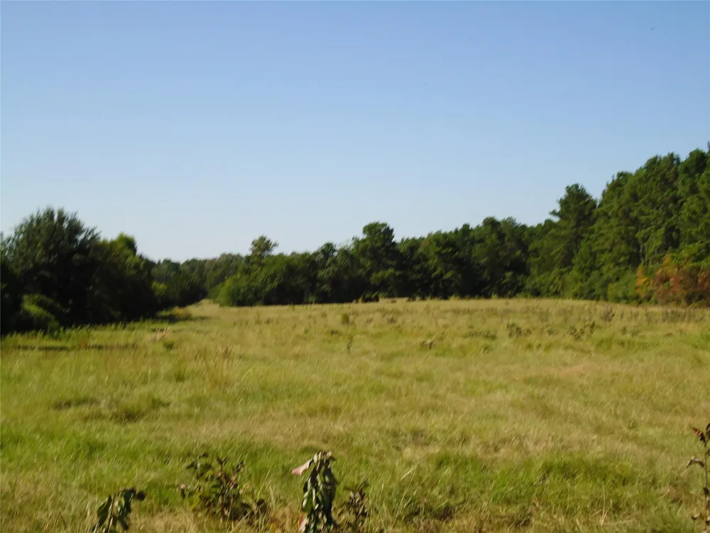 788 Fm-2781 Groveton, TX 75845
