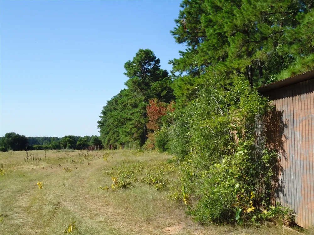 788 Fm-2781 Groveton, TX 75845