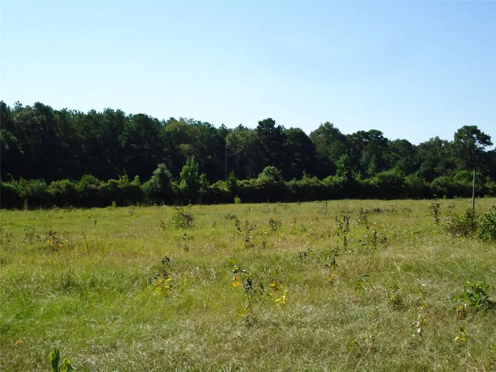 788 Fm-2781 Groveton, TX 75845