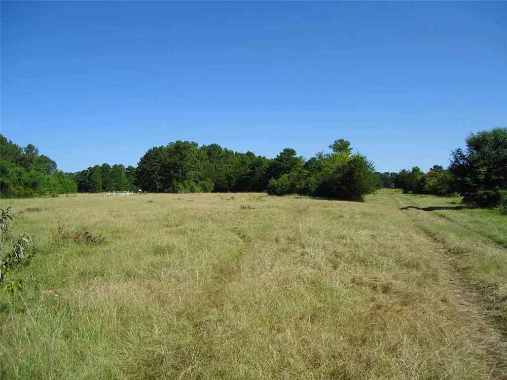 788 Fm-2781 Groveton, TX 75845