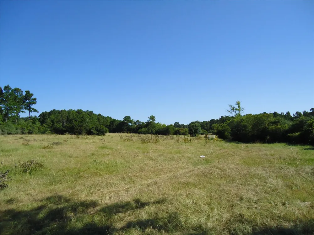788 Fm-2781 Groveton, TX 75845