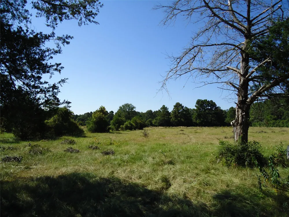 788 Fm-2781 Groveton, TX 75845