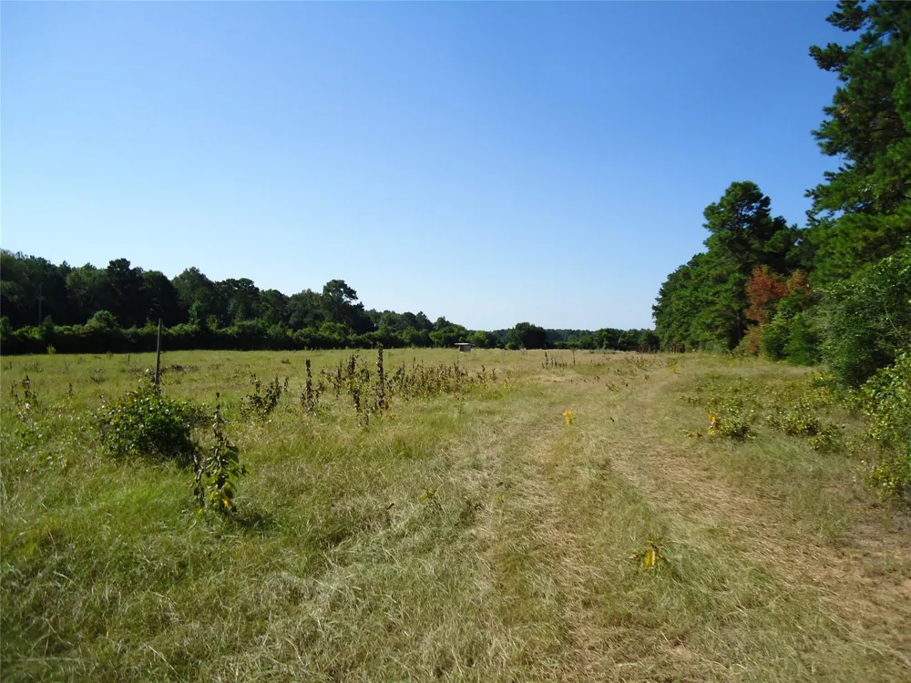 788 Fm-2781 Groveton, TX 75845