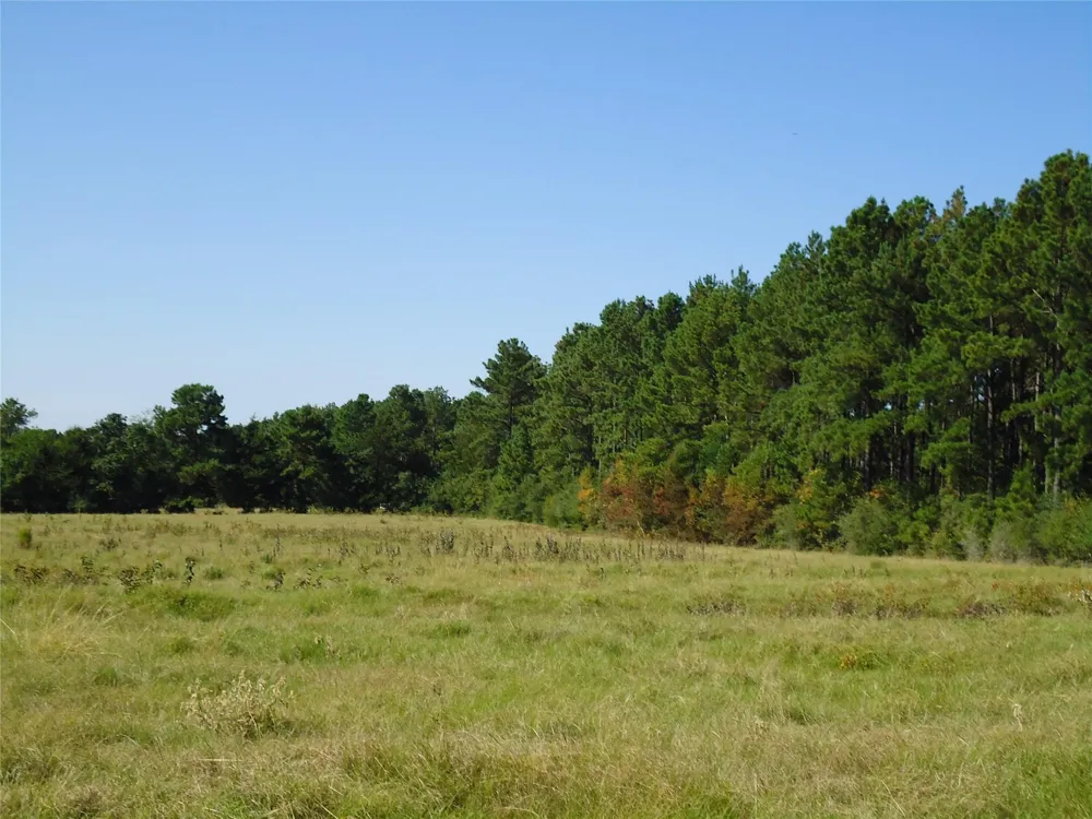 788 Fm-2781 Groveton, TX 75845