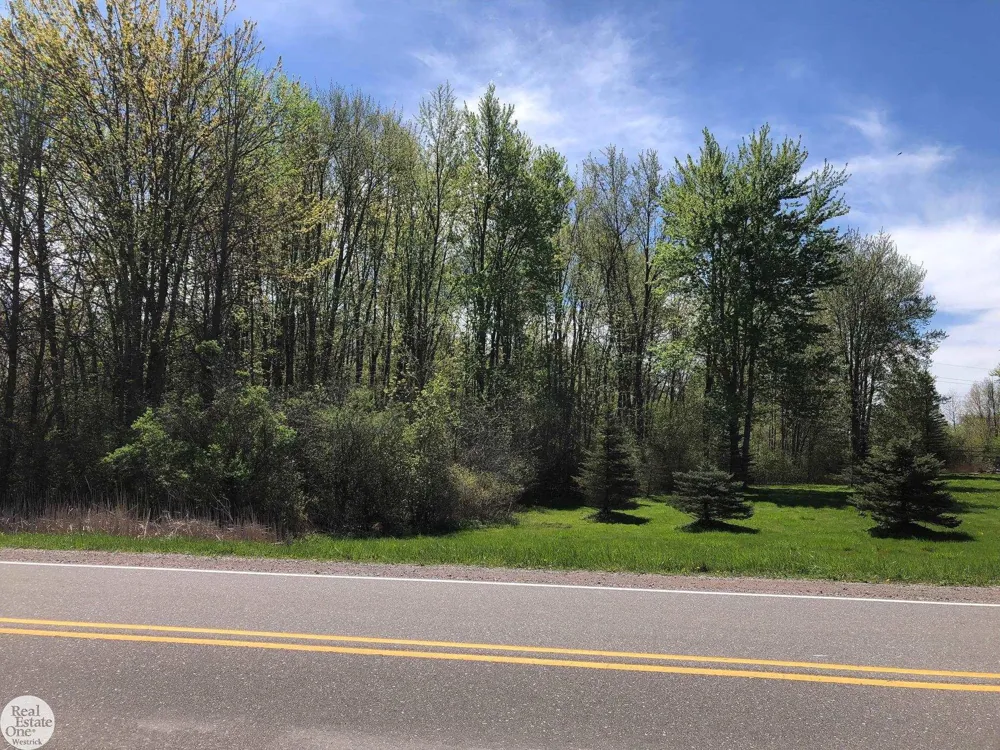 Meisner Road China Township, MI 48054