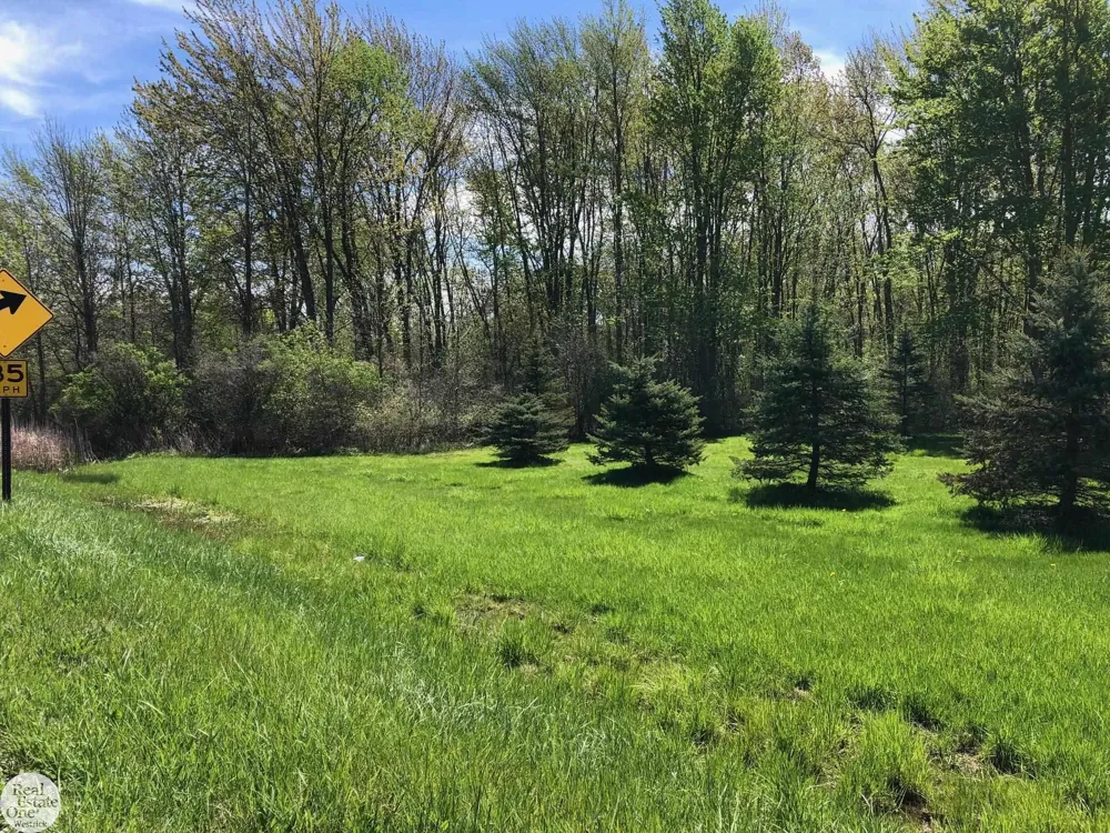 Meisner Road China Township, MI 48054
