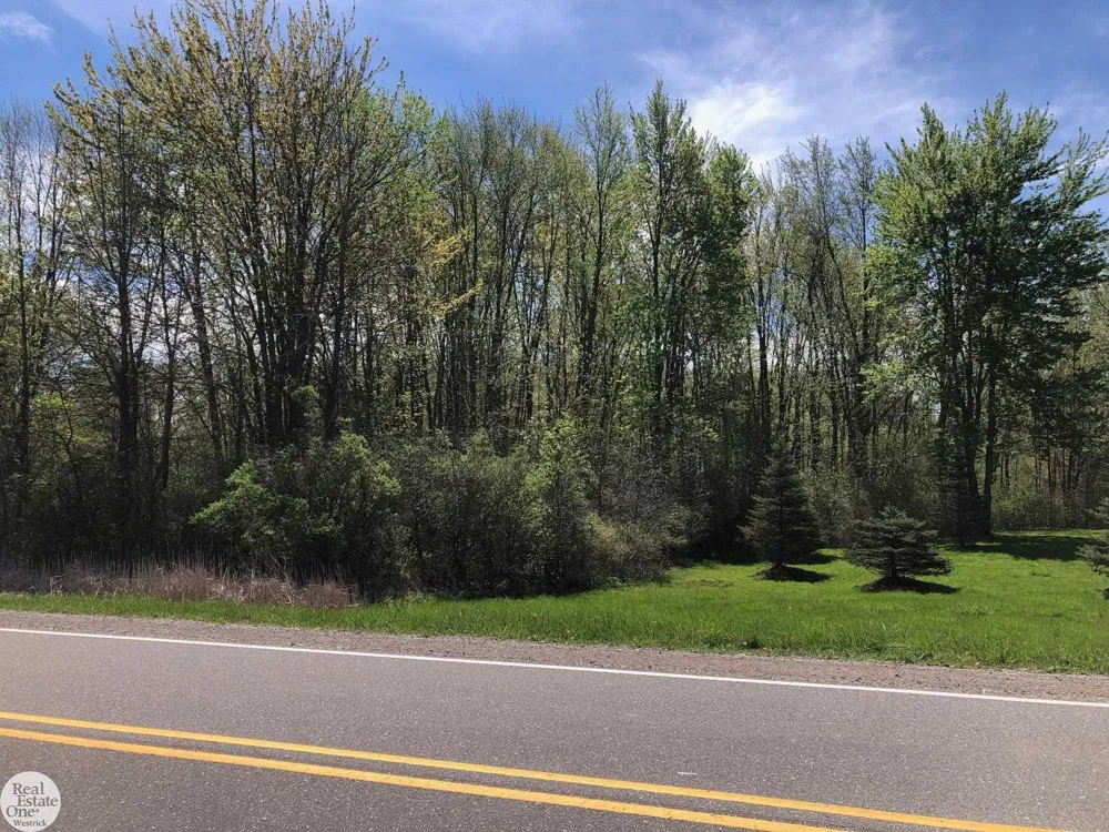 Meisner Road China Township, MI 48054