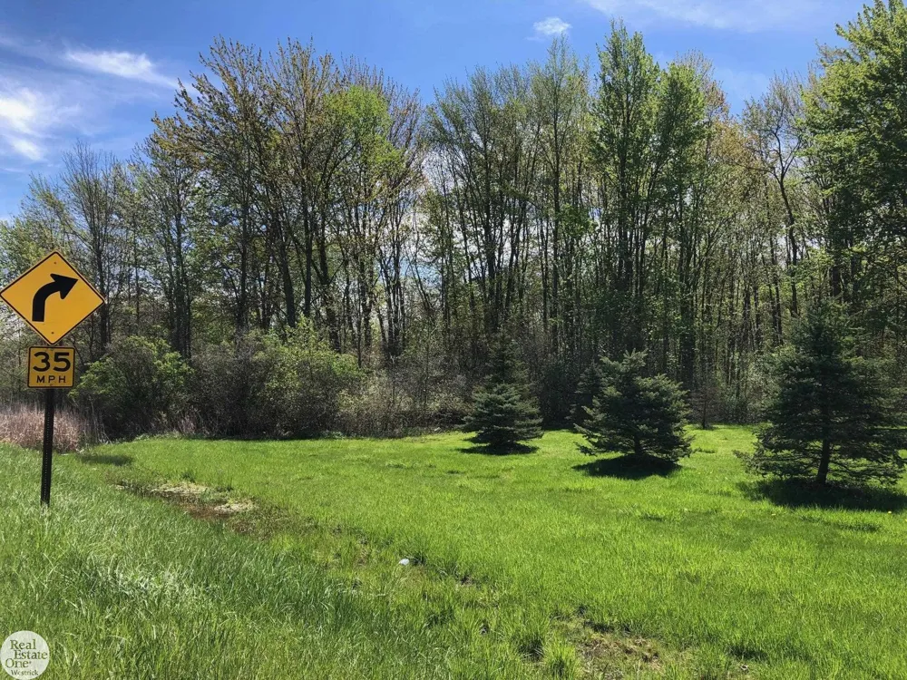 Meisner Road China Township, MI 48054