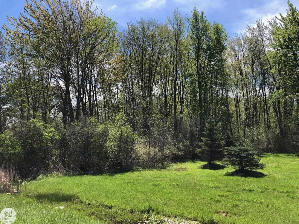 Meisner Road China Township, MI 48054