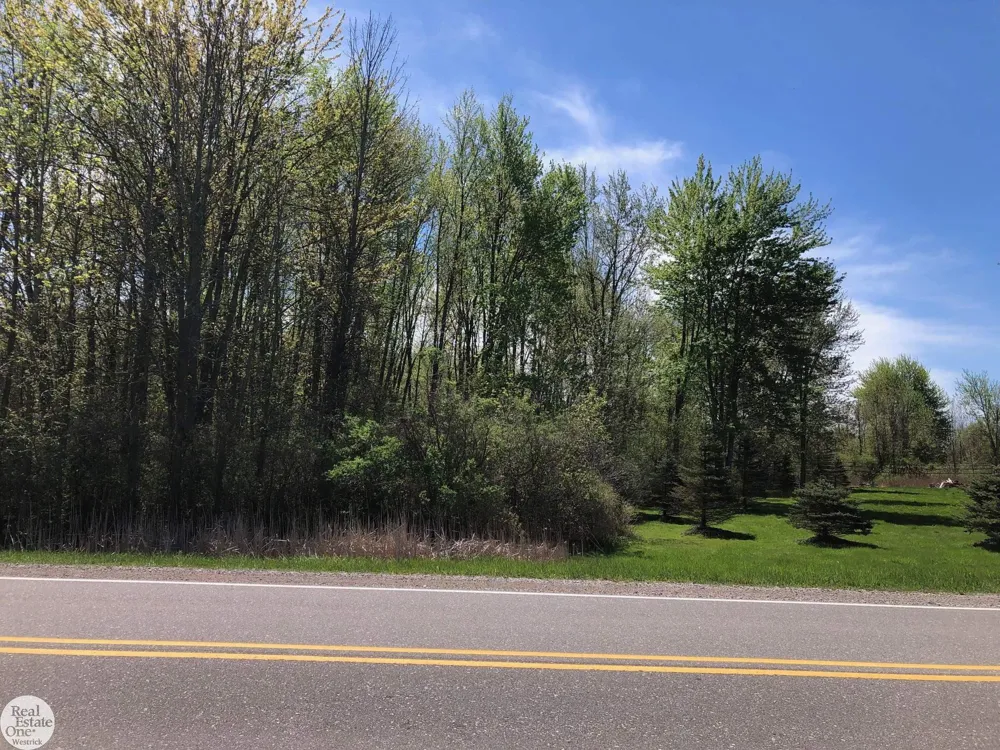 Meisner Road China Township, MI 48054