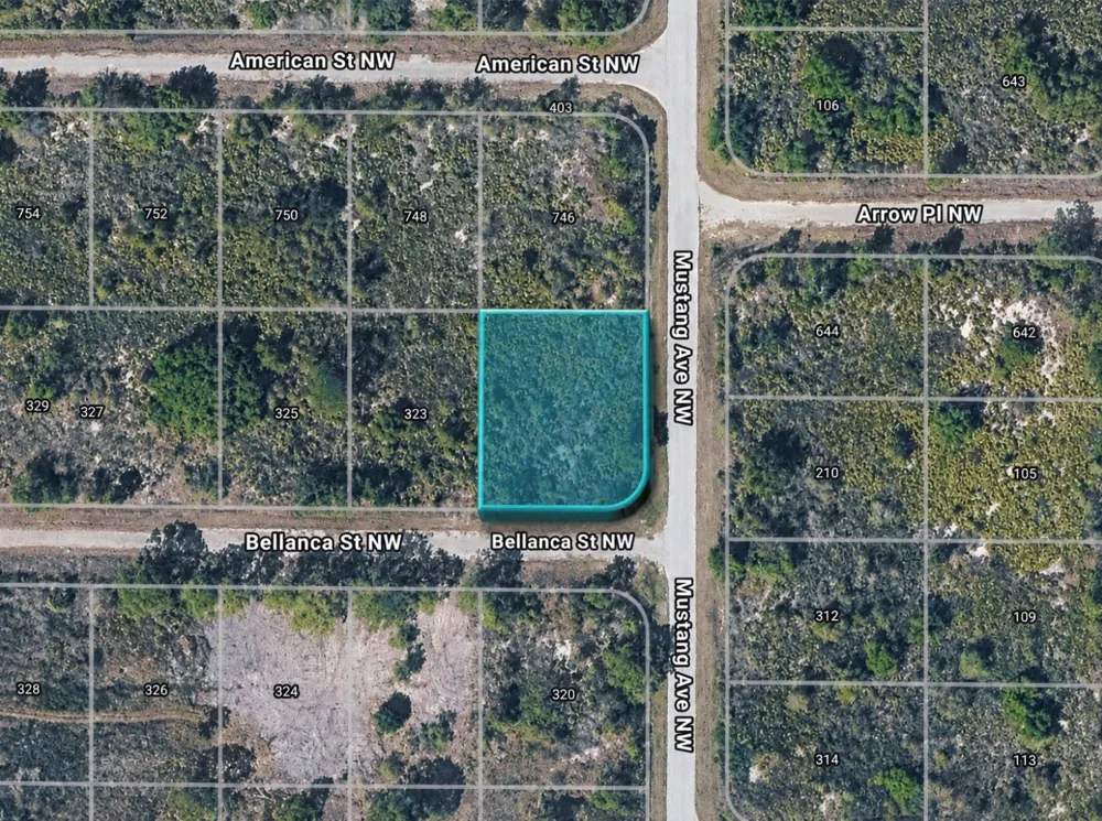 321 BELLANCA STREET NW Lake Placid, FL 33852