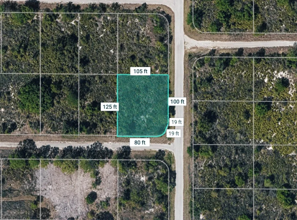 321 BELLANCA STREET NW Lake Placid, FL 33852