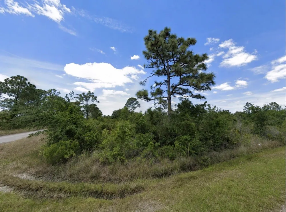 321 BELLANCA STREET NW Lake Placid, FL 33852