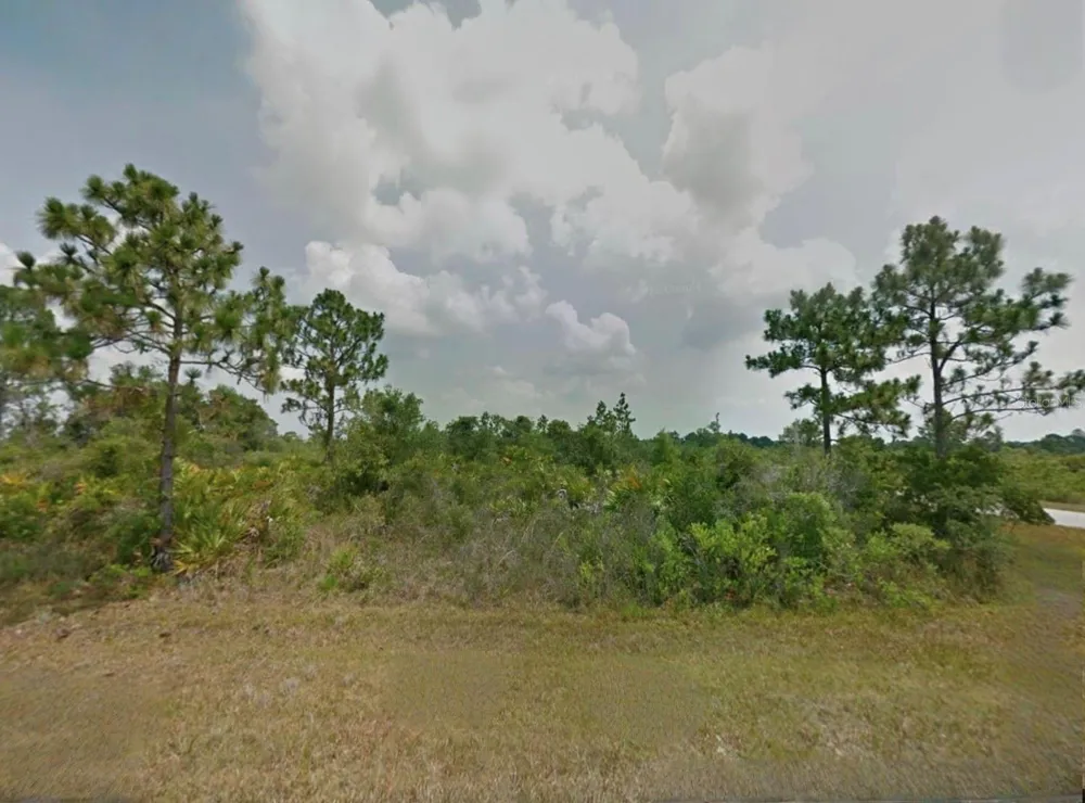 321 BELLANCA STREET NW Lake Placid, FL 33852