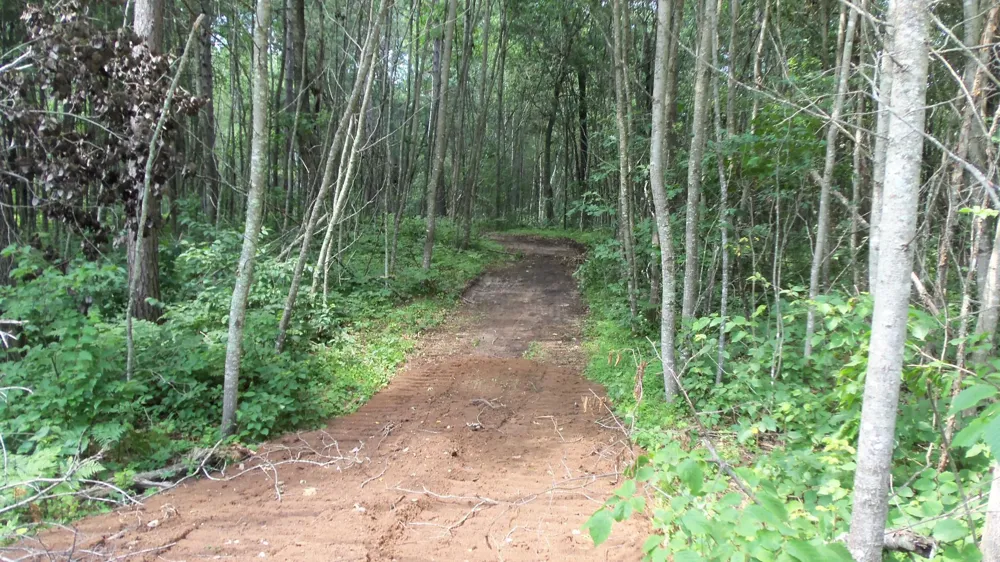 Lot 1 Brch Tree Trl Spooner, WI 54801