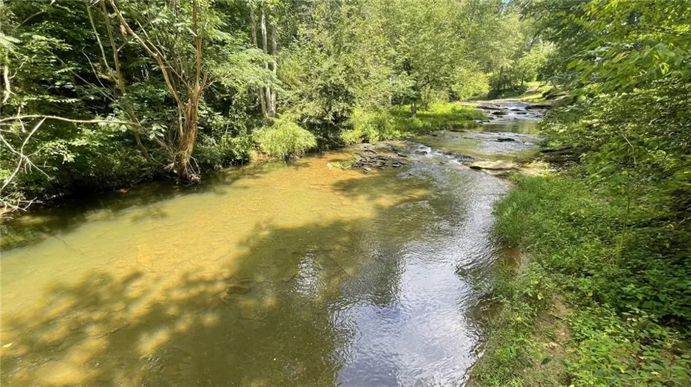 156 Thundering Waters Drive Cornelia, GA 30531