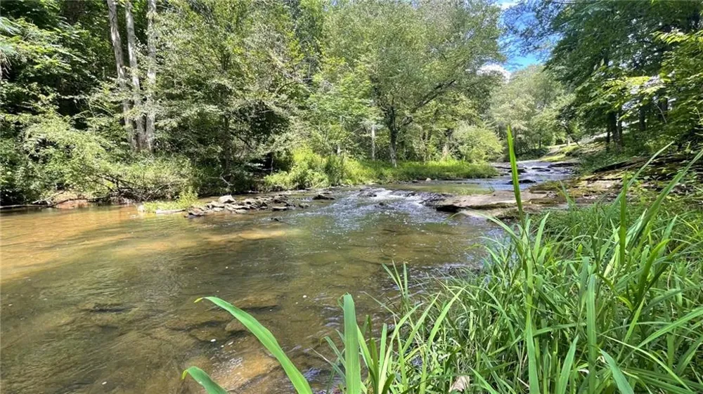 156 Thundering Waters Drive Cornelia, GA 30531
