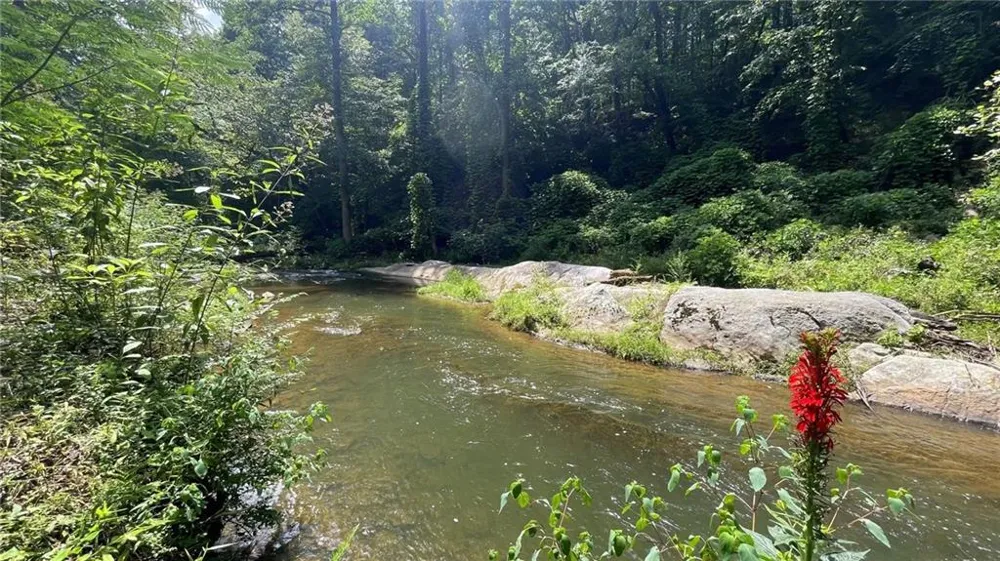 156 Thundering Waters Drive Cornelia, GA 30531