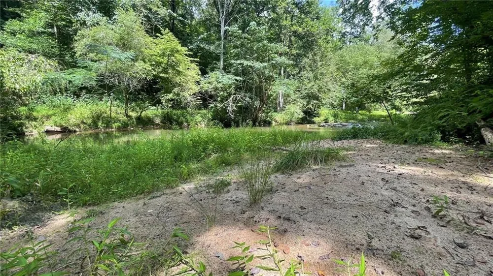 156 Thundering Waters Drive Cornelia, GA 30531