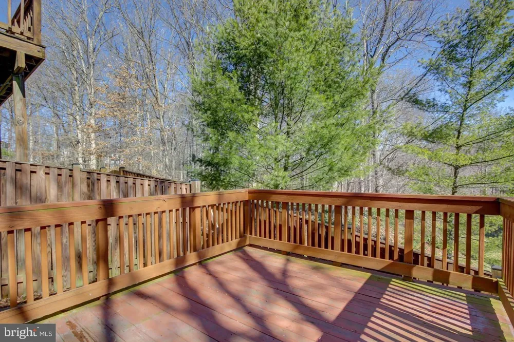 8200 MAPLE RIDGE AVENUE Springfield, VA 22153