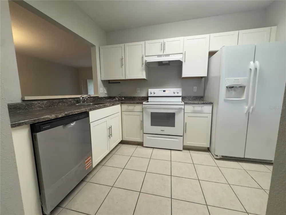 9507 AMBERDALE COURT #201 Riverview, FL 33578