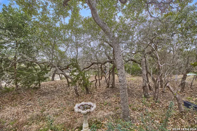 3051 BLENHEIM PARK Bulverde, TX 78163