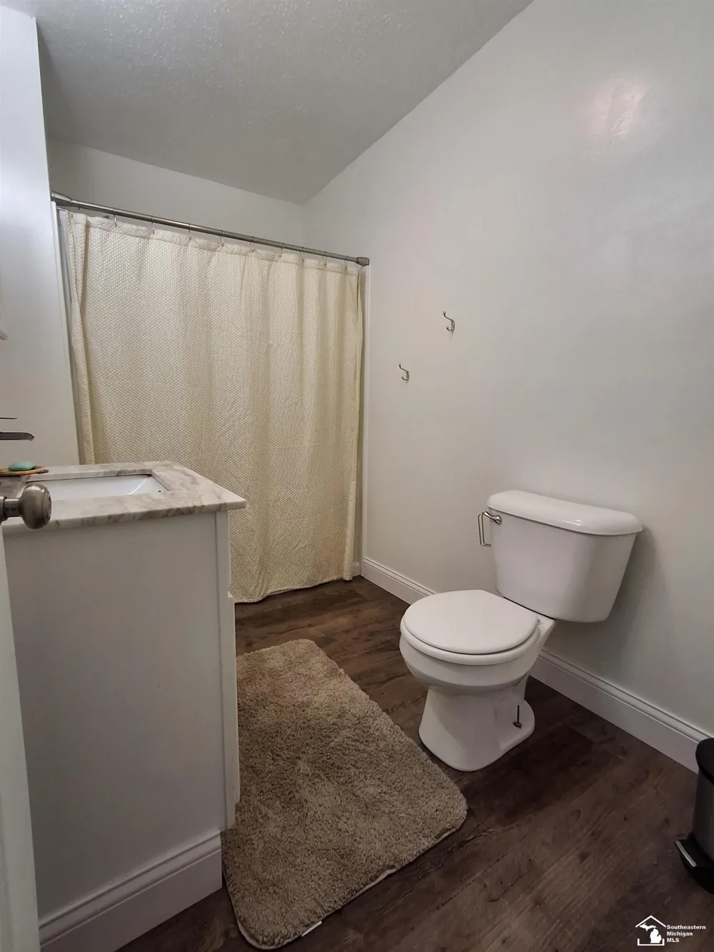 1045 Third Street Alabaster Township, MI 48763