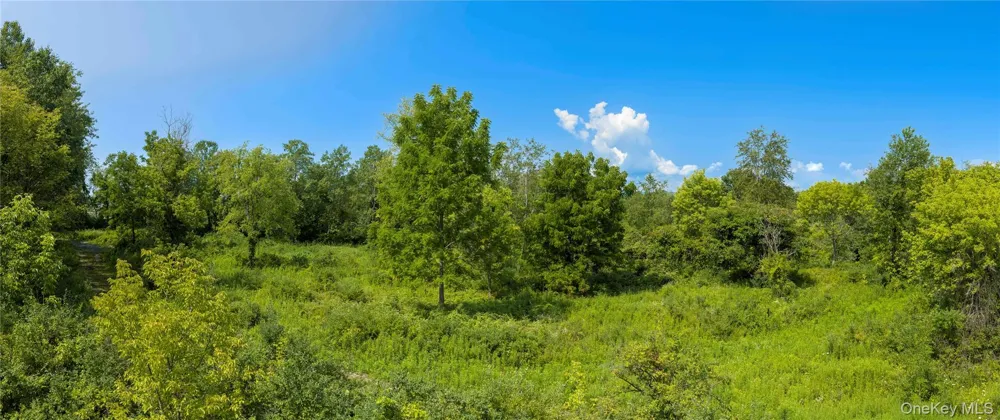 (Lot 1) 111 South Street Highland, NY 12528