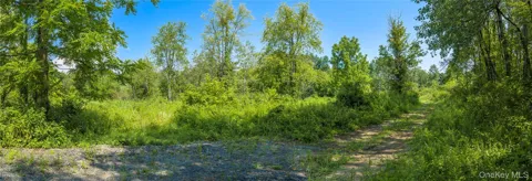(Lot 2) 111 South Street
